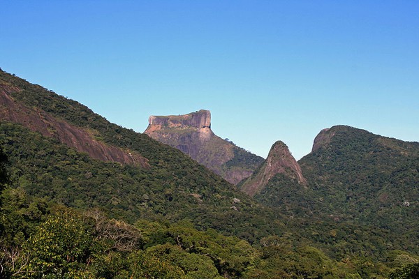 Tijuca Rain Forest Jeep Tour from Rio de Janeiro - Rio de Janeiro Blog