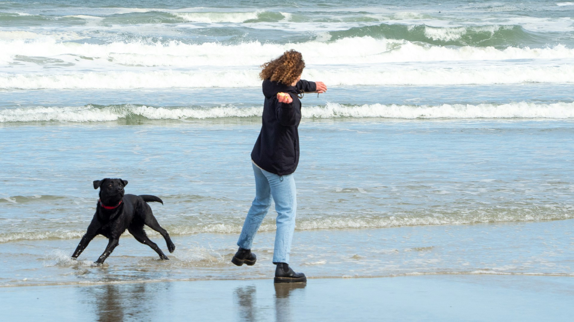 woman and pet on a beach