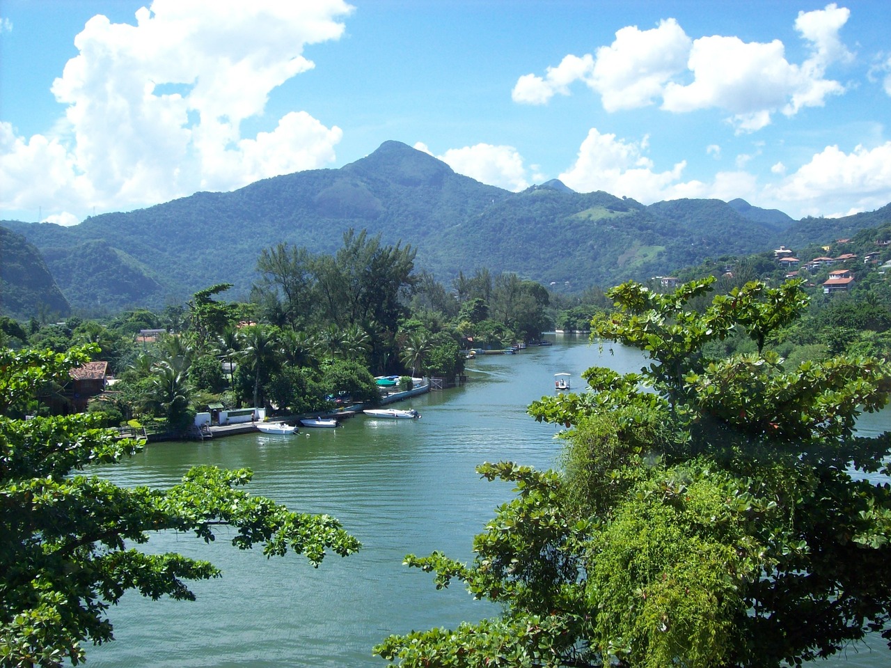 Tijuca Forest